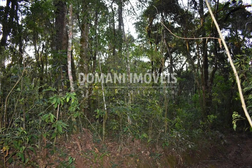 Terreno, 1100 m² - Foto 3