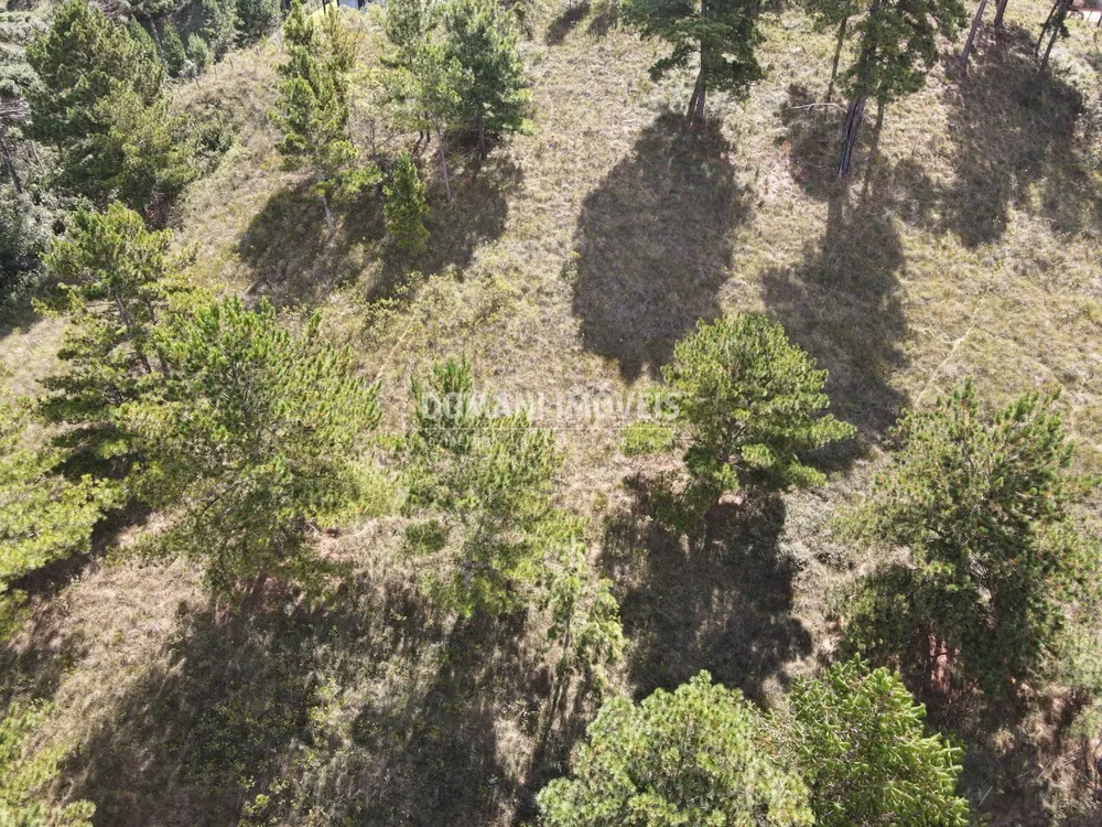 Terreno, 1460 m² - Foto 4