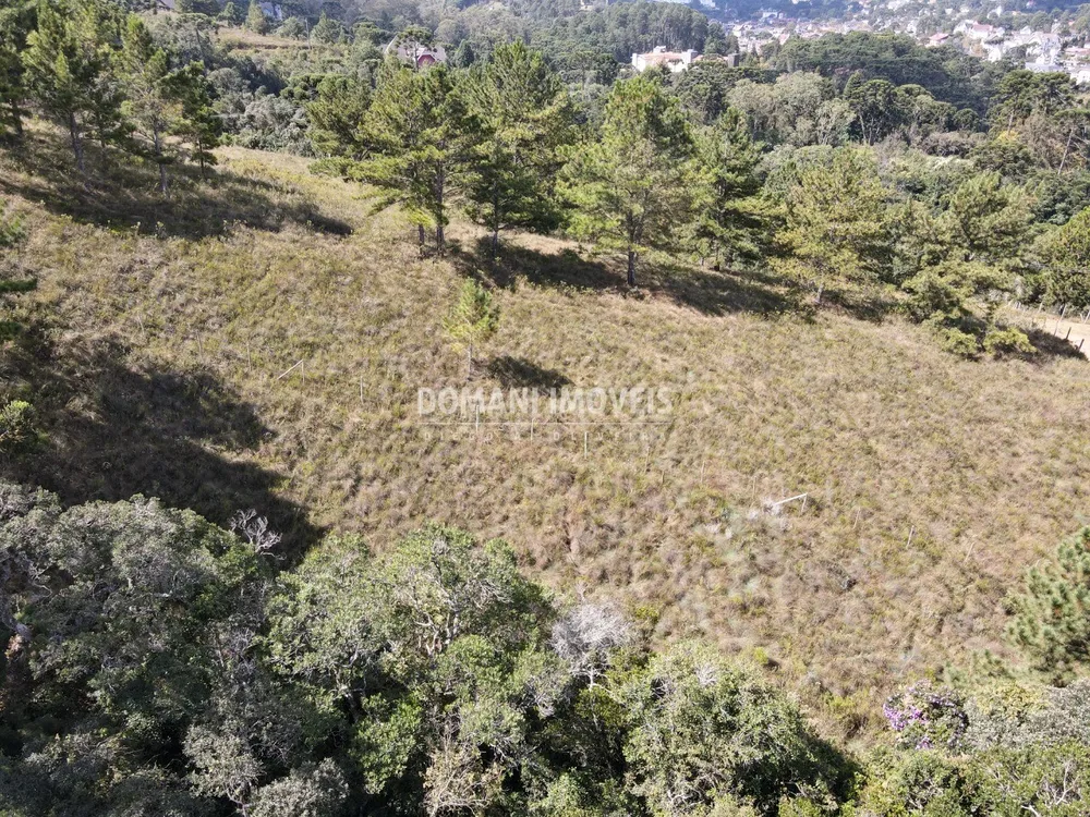 Terreno, 1460 m² - Foto 3