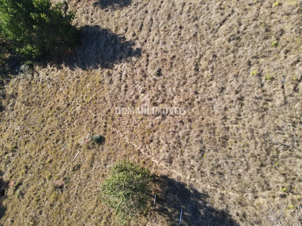 Terreno, 1100 m² - Foto 6