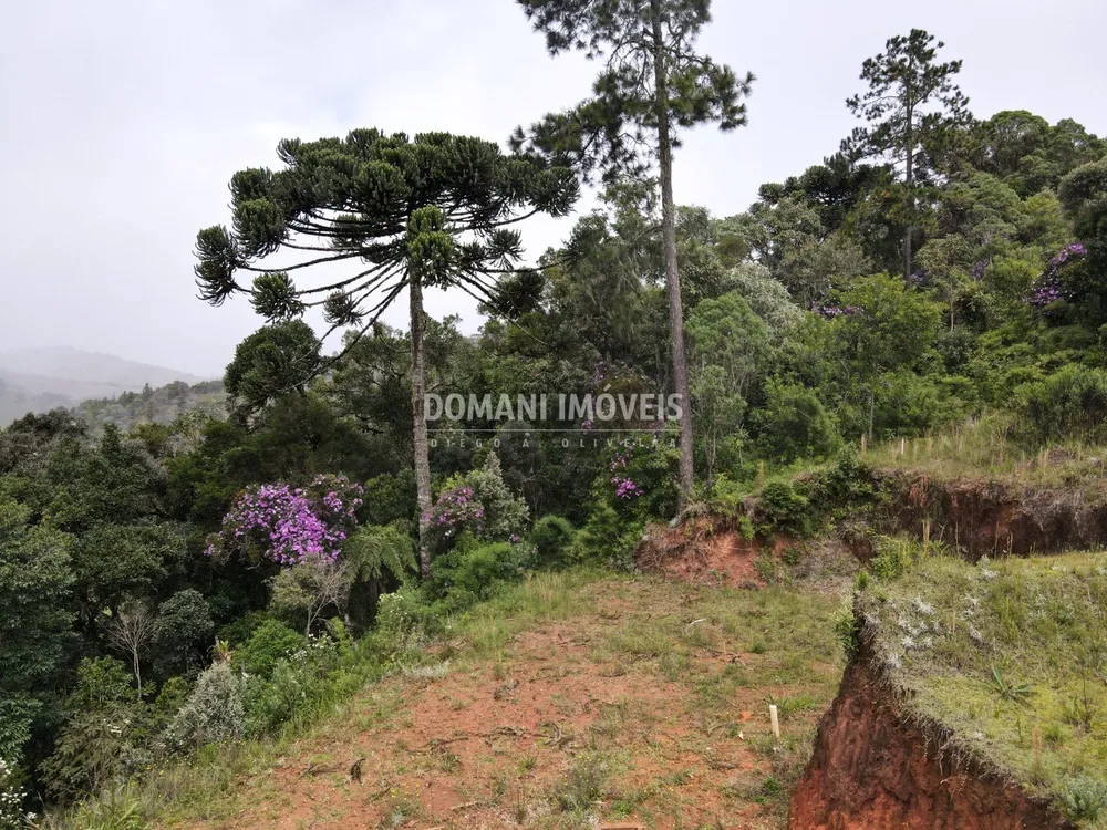 Terreno, 1270 m² - Foto 1