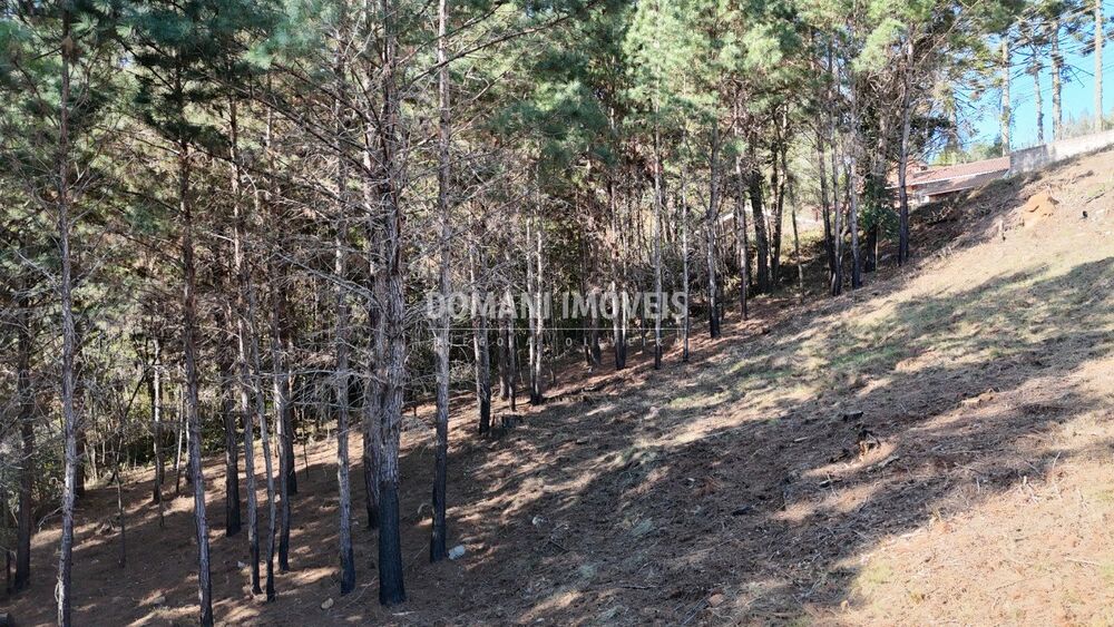 Terreno, 1050 m² - Foto 8