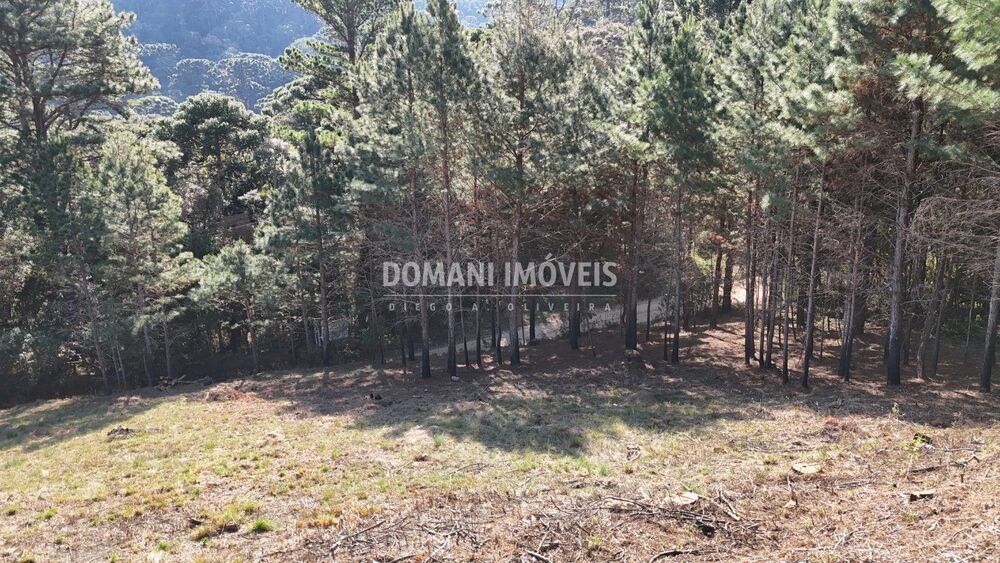 Terreno, 1050 m² - Foto 6