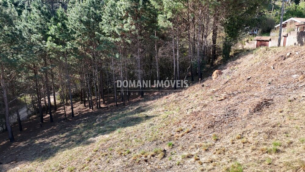 Terreno, 1050 m² - Foto 5