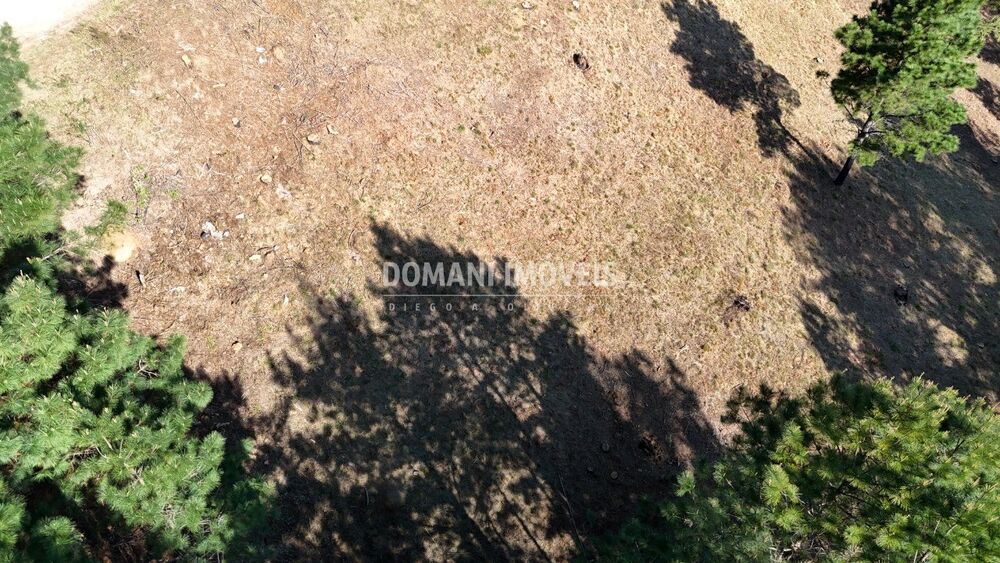 Terreno, 1050 m² - Foto 1