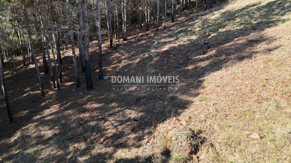 Terreno, 1050 m² - Foto 2