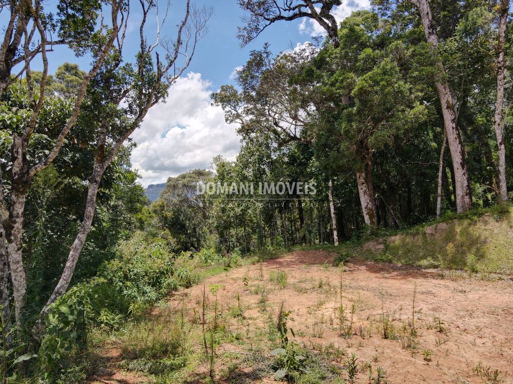 Terreno, 2250 m² - Foto 13