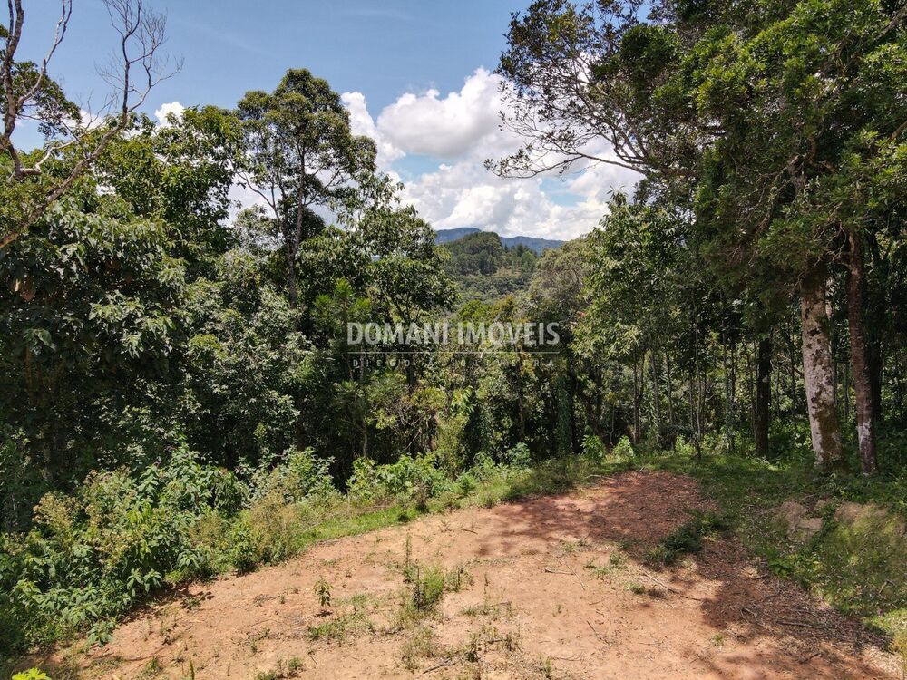 Terreno, 2250 m² - Foto 6