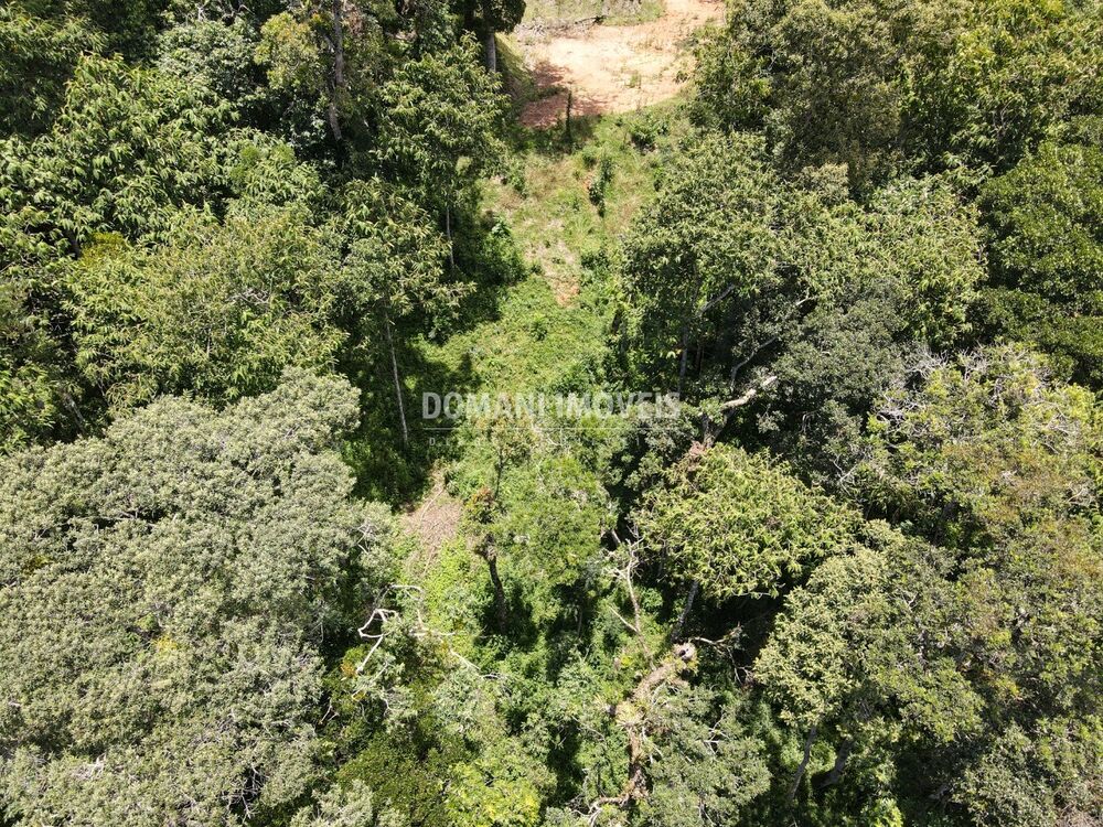 Terreno, 2250 m² - Foto 4