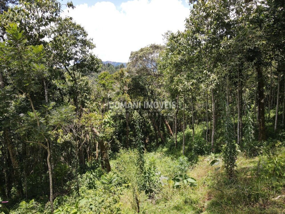 Terreno, 2250 m² - Foto 1