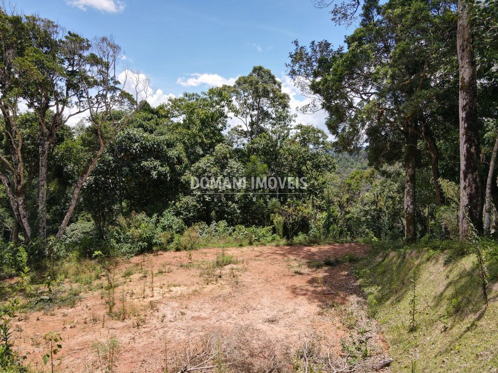 Terreno, 2250 m² - Foto 17