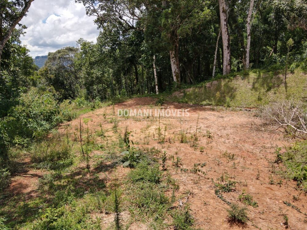 Terreno, 2250 m² - Foto 12