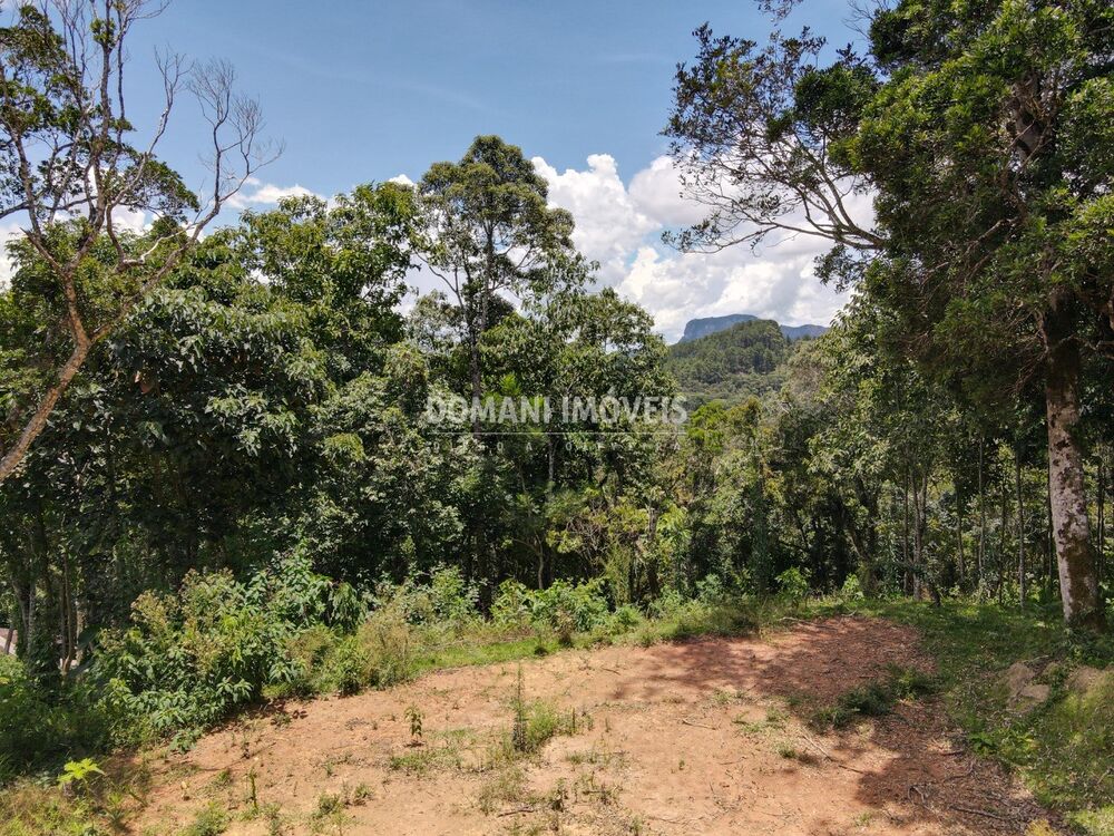 Terreno, 2250 m² - Foto 5