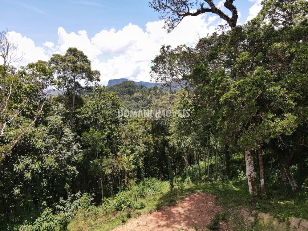 Terreno, 2250 m² - Foto 11