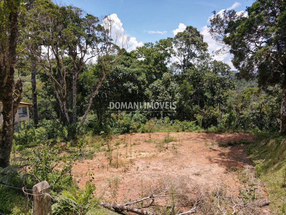 Terreno, 2250 m² - Foto 3