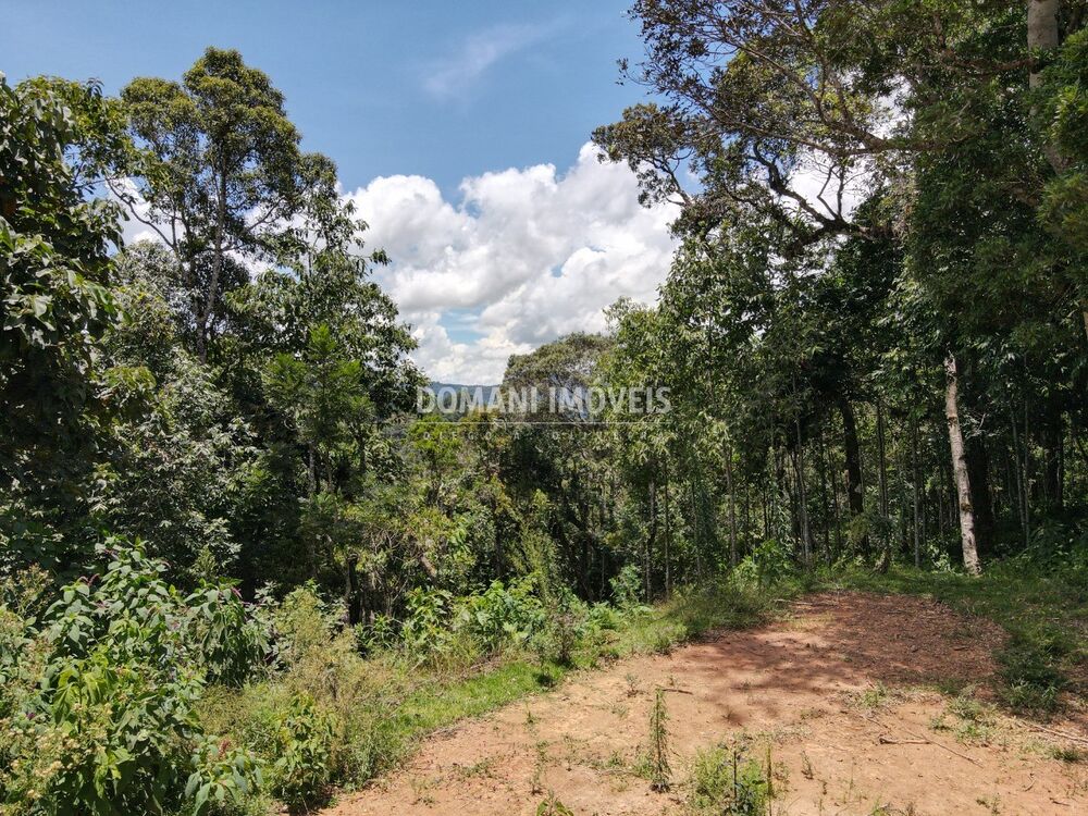 Terreno, 2250 m² - Foto 9