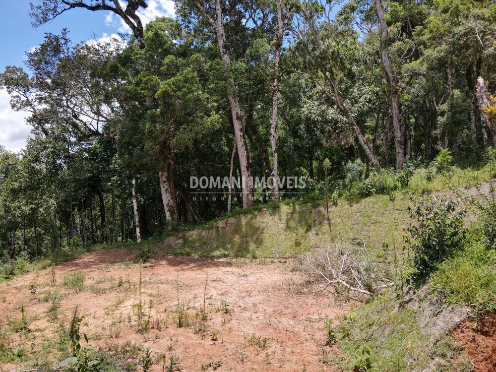 Terreno, 2250 m² - Foto 14