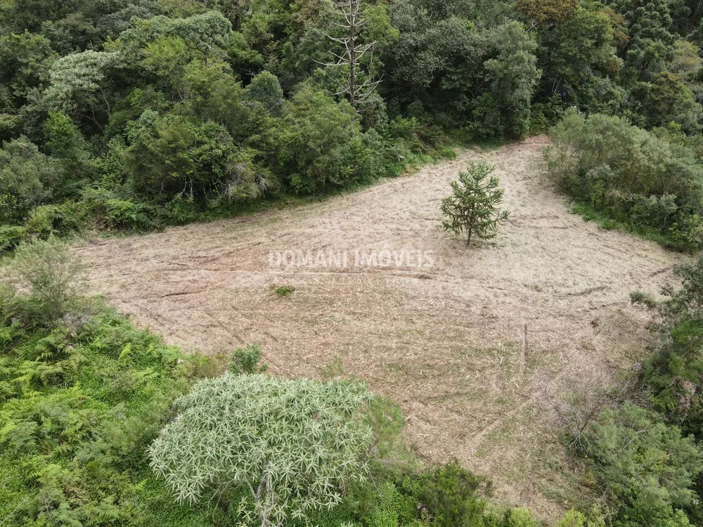 Terreno - Foto 2