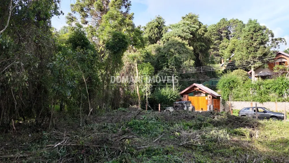 Terreno, 1010 m² - Foto 8