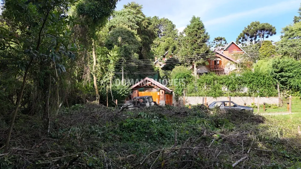 Terreno, 1010 m² - Foto 6