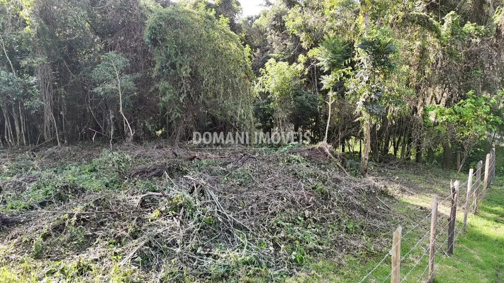 Terreno, 1010 m² - Foto 4