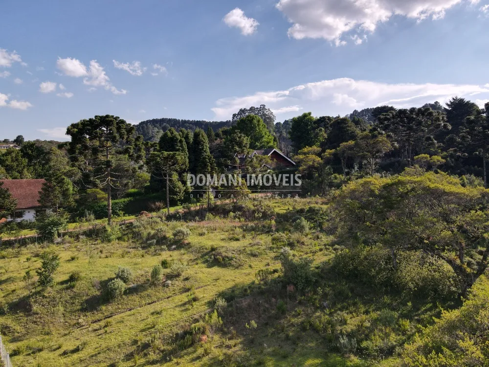 Terreno - Foto 1