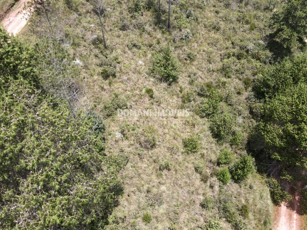 Terreno, 1050 m² - Foto 4