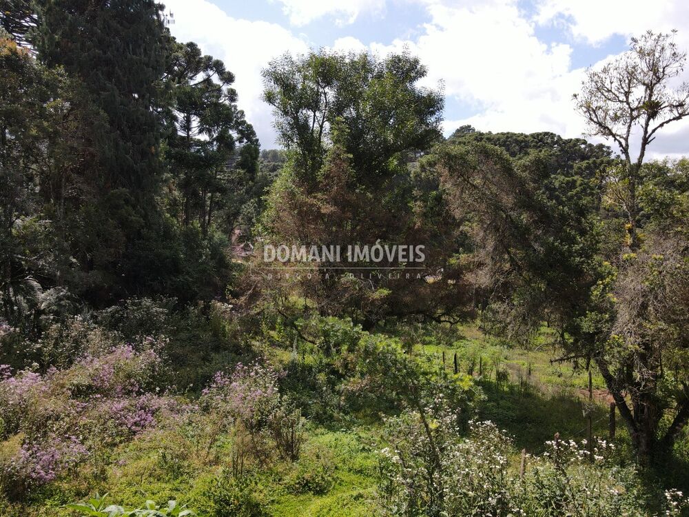 Terreno, 1250 m² - Foto 5