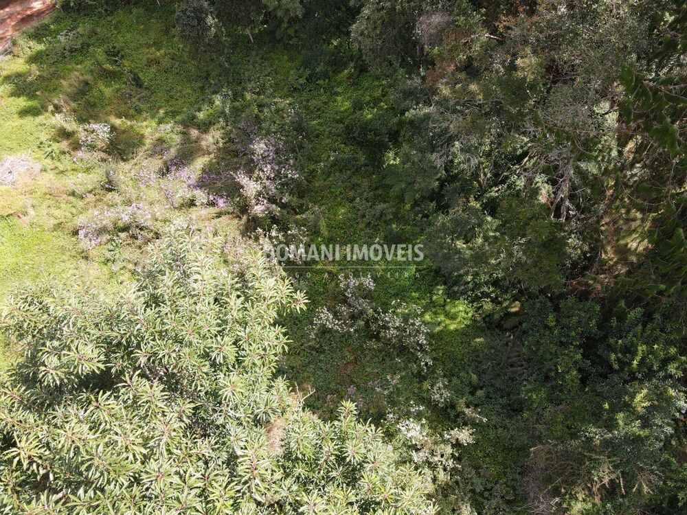 Terreno, 1250 m² - Foto 3