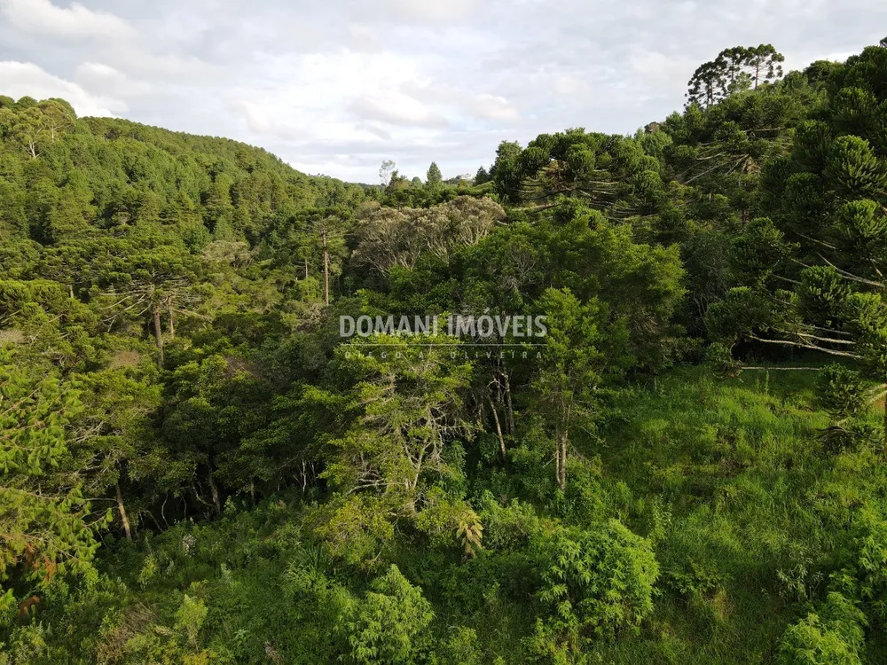 Terreno, 2100 m² - Foto 4
