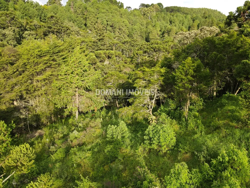 Terreno, 2100 m² - Foto 6