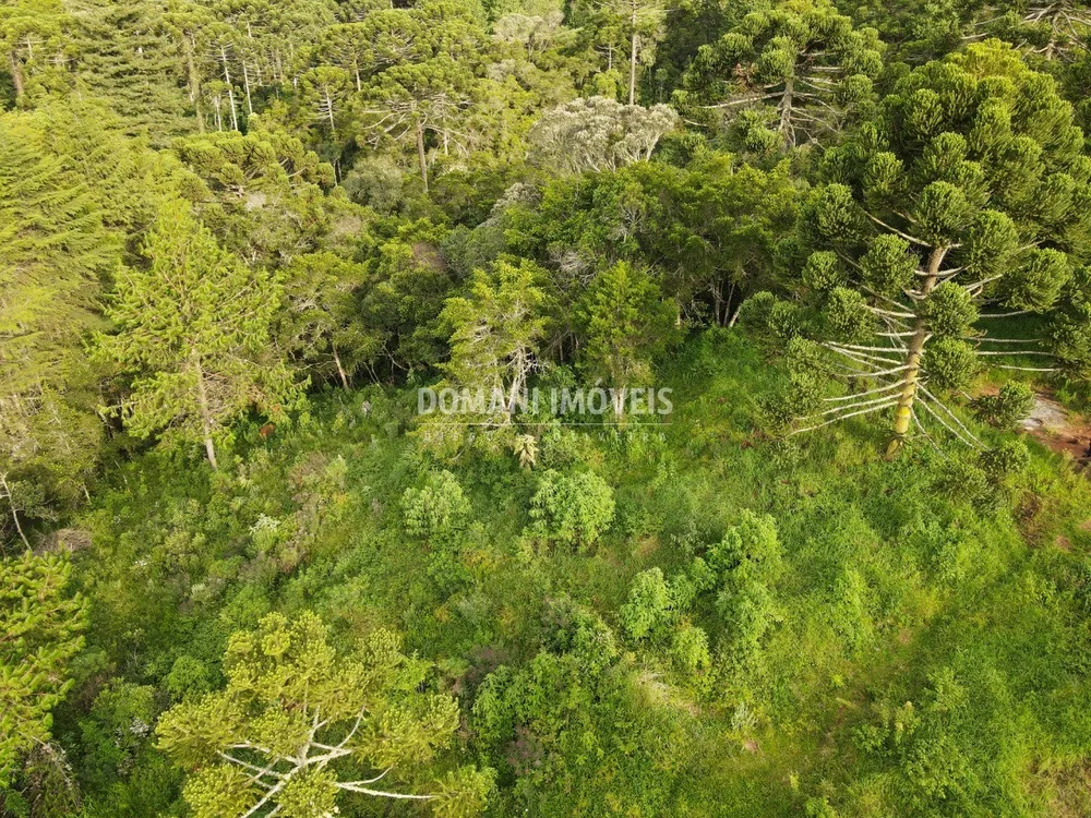 Terreno, 2100 m² - Foto 1