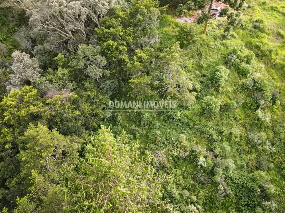 Terreno, 2100 m² - Foto 3