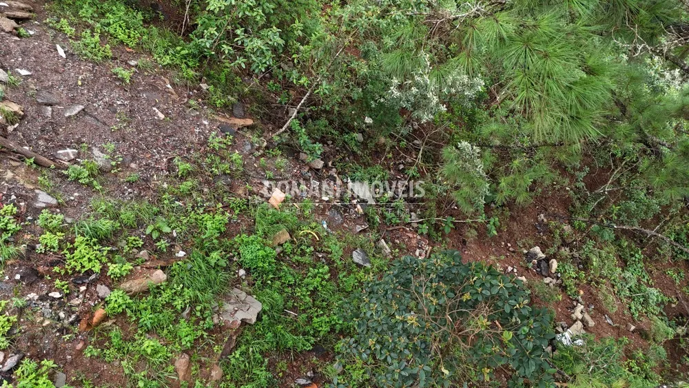 Terreno, 2020 m² - Foto 3