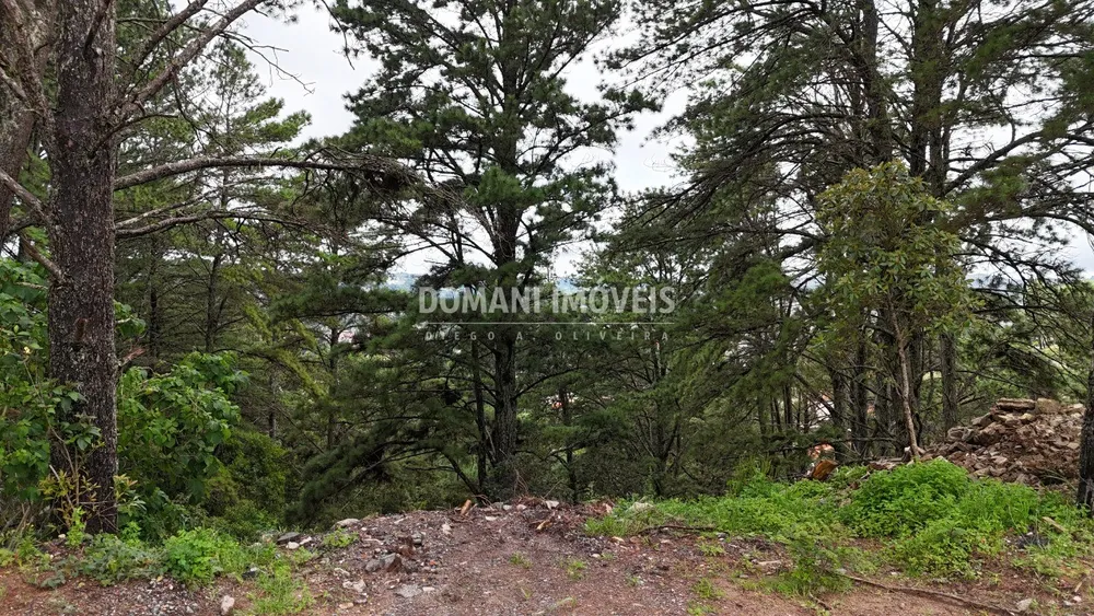 Terreno, 2020 m² - Foto 4