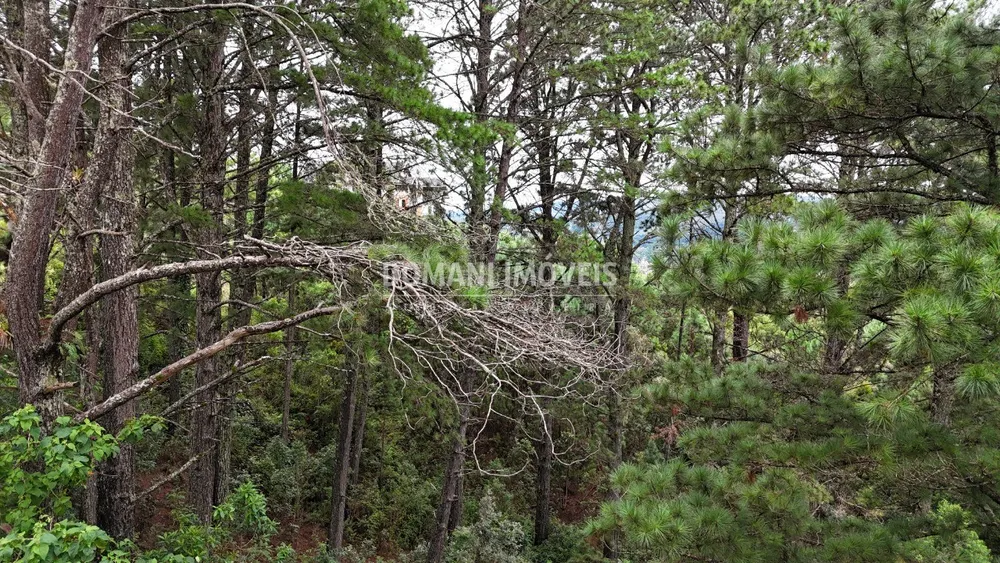 Terreno, 2020 m² - Foto 6