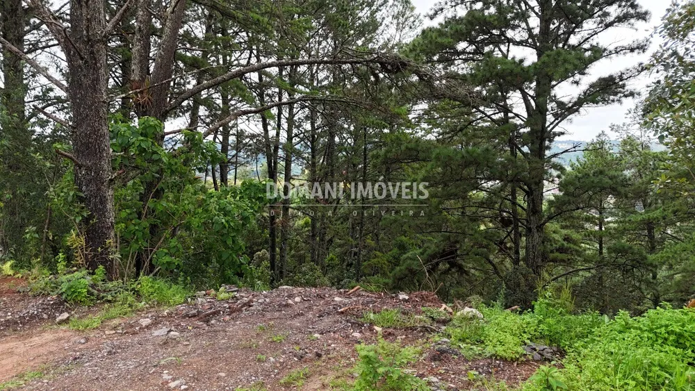 Terreno, 2020 m² - Foto 1