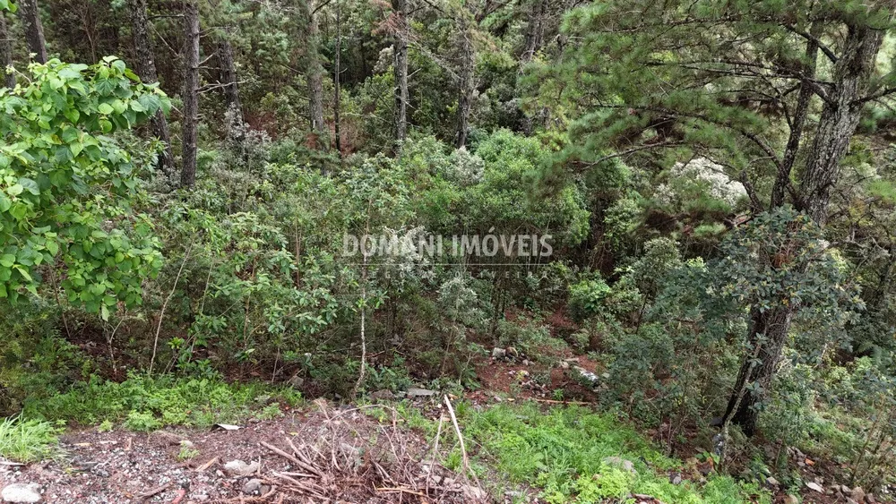 Terreno, 2020 m² - Foto 8