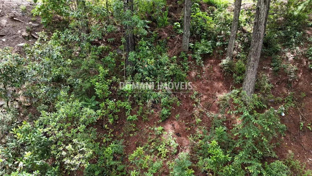 Terreno, 2020 m² - Foto 2