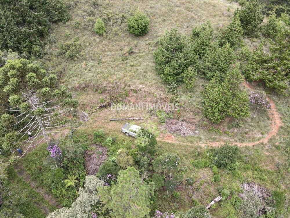 Terreno, 2000 m² - Foto 5