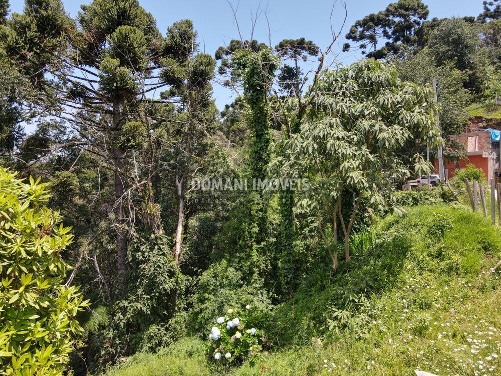 Terreno, 450 m² - Foto 4