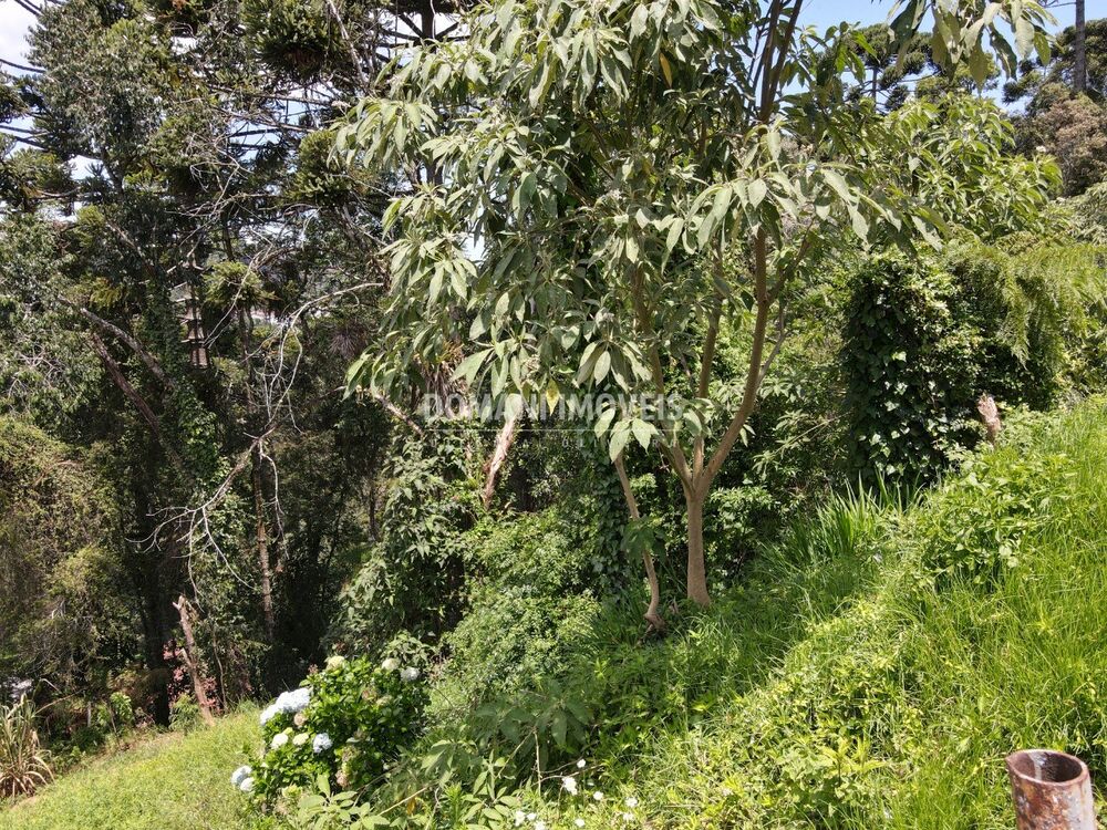 Terreno, 450 m² - Foto 9