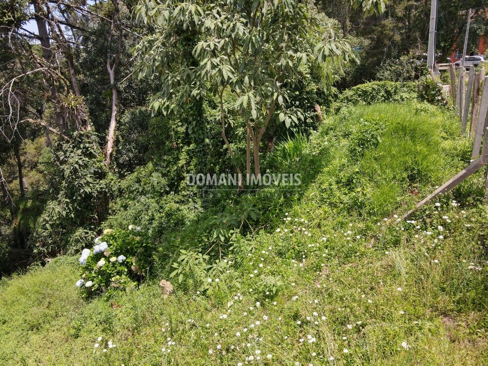 Terreno, 450 m² - Foto 5