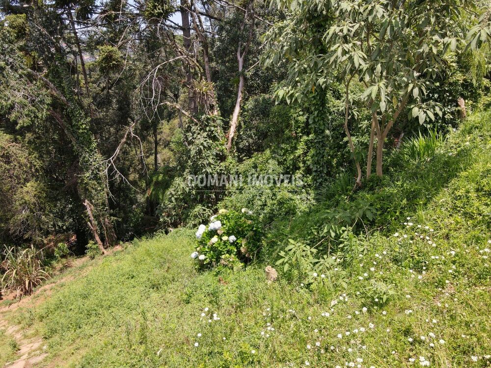 Terreno, 450 m² - Foto 11