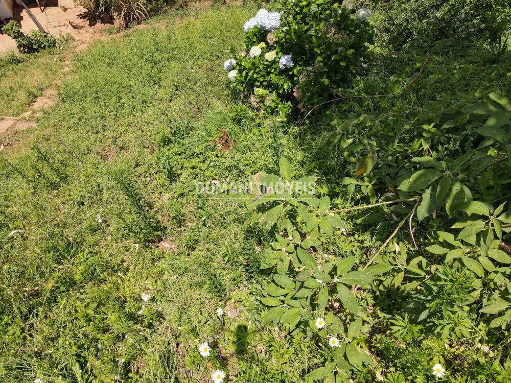 Terreno, 450 m² - Foto 3