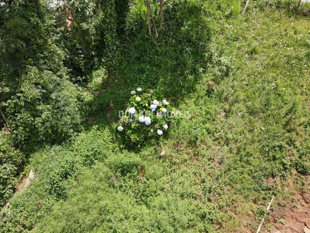 Terreno, 450 m² - Foto 12