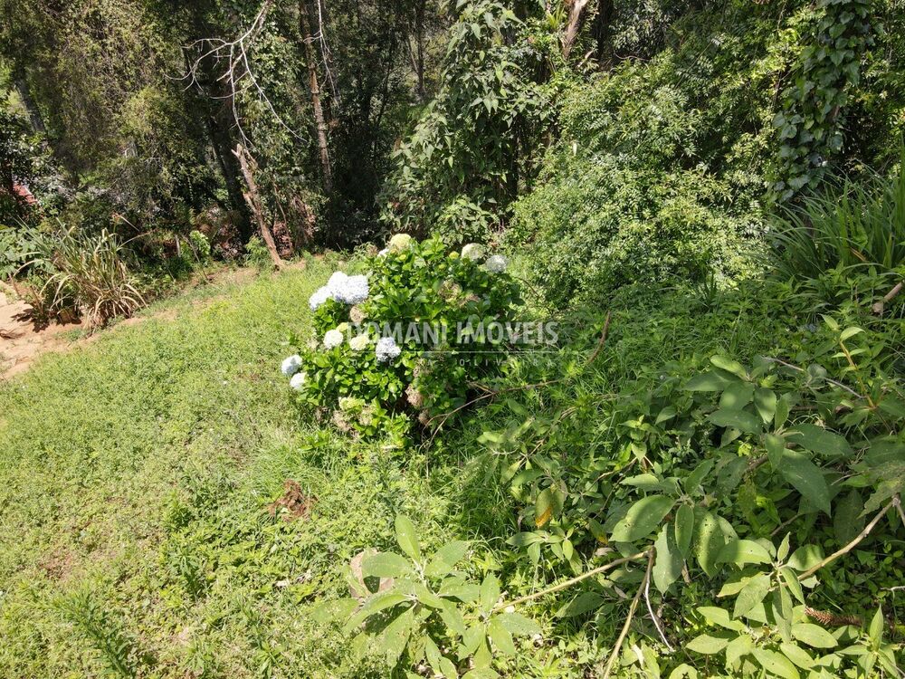 Terreno, 450 m² - Foto 2