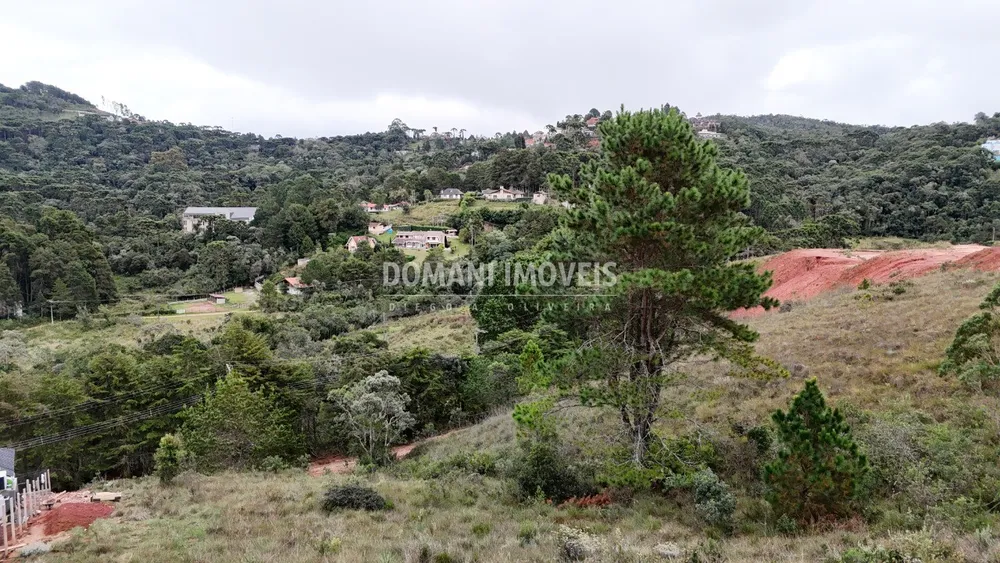 Terreno, 1795 m² - Foto 3