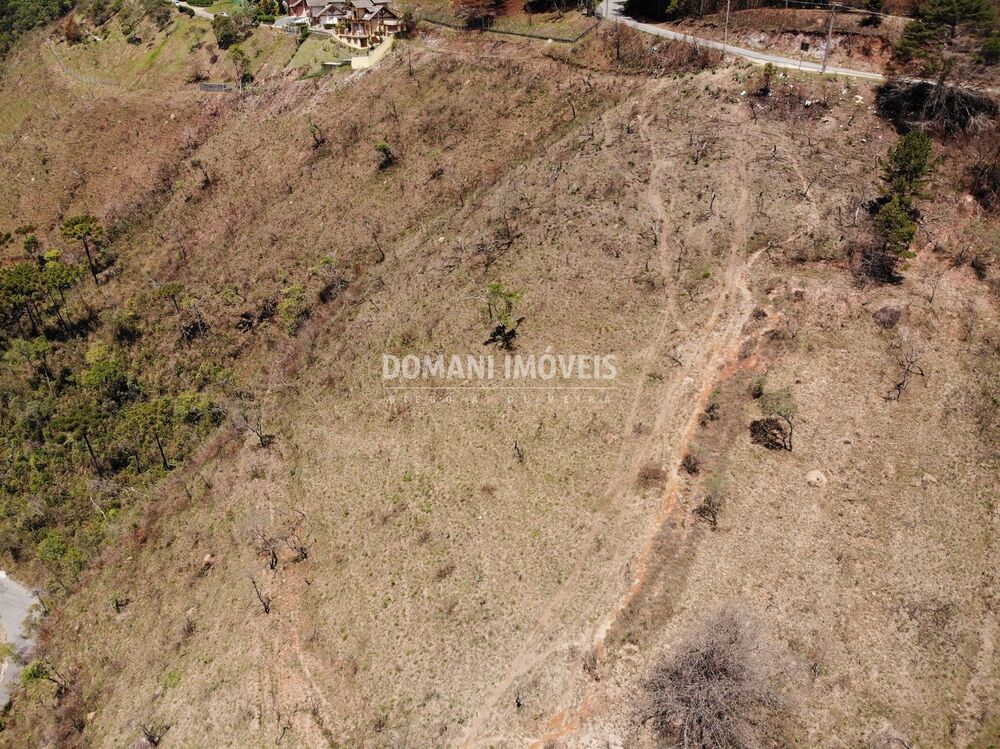 Terreno, 4 hectares - Foto 3