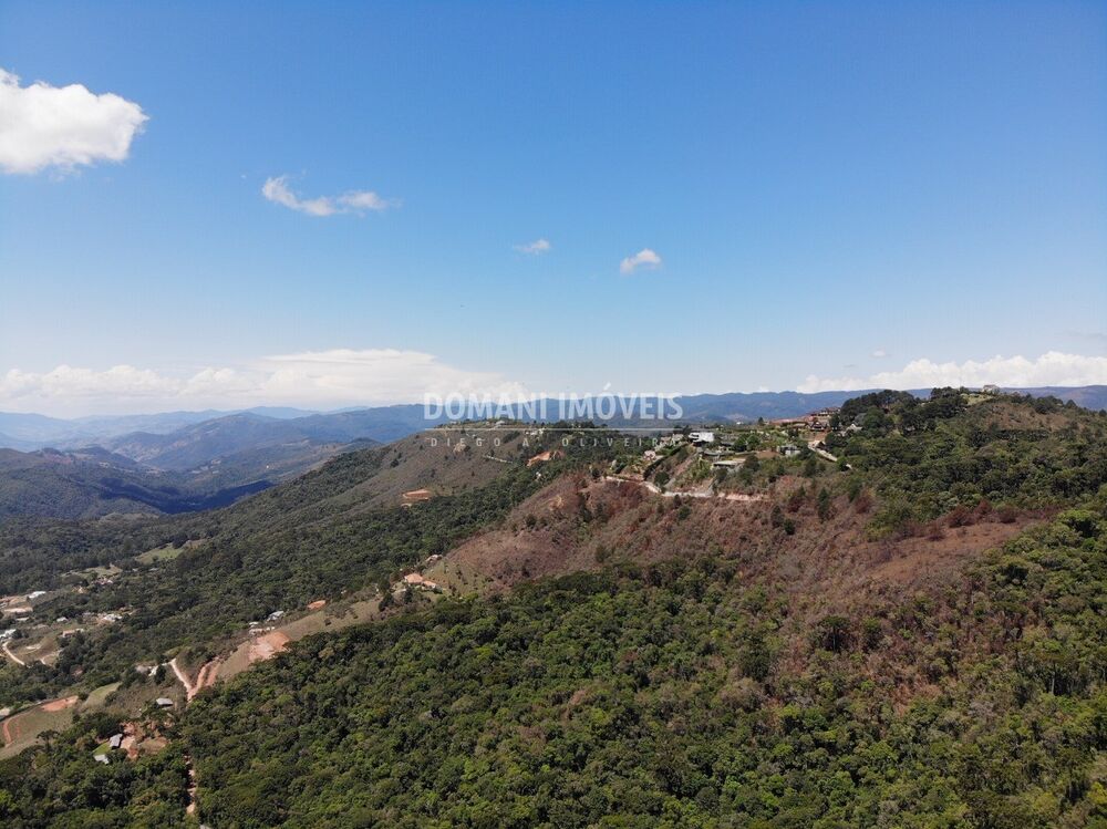 Terreno, 4 hectares - Foto 4